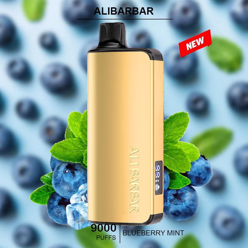 ALIBARBAR Ingot Blueberry Mint 9000 puffs