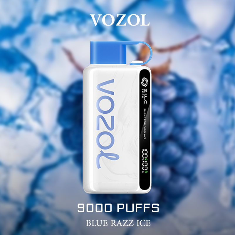 VOZOL Blue Razz Ice 9000 Puffs