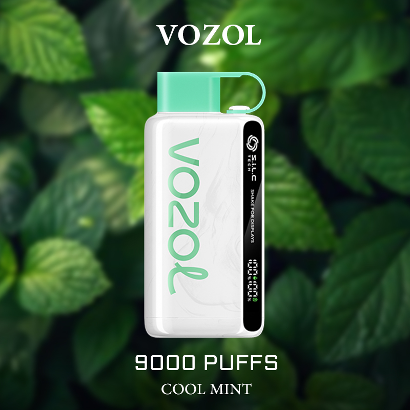 Vozol Cool Mint 9000 Puffs
