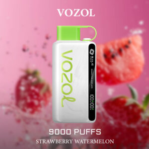 VOZOL Strawberry Watermelon 9000 Puffs